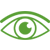 Vision